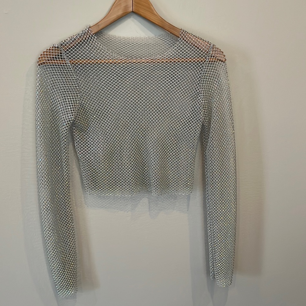 Long Sleeve Sheer Silver Crop Top - Zara size Small